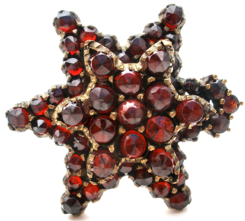 Flush clasp brooches-Victorian Garnet Star Gilt Brooch Pin