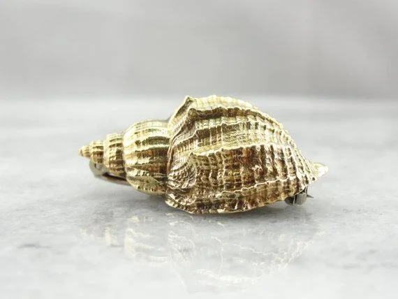 Fringe tassel brooches-Detailed Gold Conch Shell Brooch